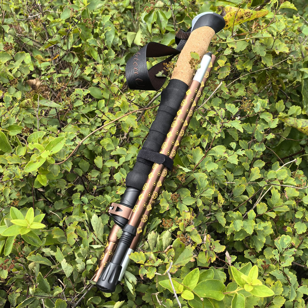 Bâton de randonnée pliable en  - Folding Walking Sticks Hiking Adjustable avis et prix